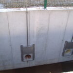 DSCF3742
