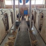 Fibra mix (18)